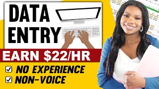 DATA ENTRY 22 Per Hour  NO EXPERIENCE NEEDED NonVoice Typing Job  Work From Home Jobs 2024 [upl. by Welcy]