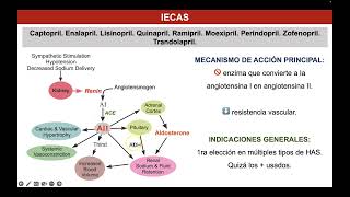 Antihipertensivos II IECAS y ARAII [upl. by Allicirp734]