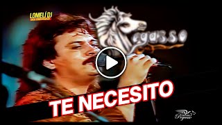 1991  TE NECESITO  Emilio Reyna  Grupo PEGASSO  En Vivo  1991 [upl. by Elkin537]