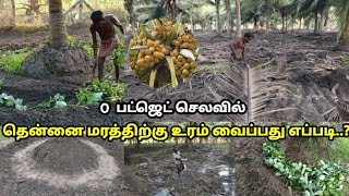 0 பட்ஜெட் செலவில் தென்னை மரத்திற்கு உரம் வைக்கும் முறை  Organic Fertilizer For Coconut Tree  Tamil [upl. by Ellehcem]