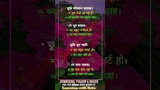 বাংলা উচ্চারণসহ কিছু হিন্দি বাক্য। hindi to bangla sentences shorts viralvideo trending [upl. by Sholom144]