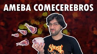 Naegleria Fowleri La AMEBA que DESTRUYE el CEREBRO [upl. by Ojeillib395]