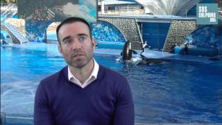 SOSdolphins interviews the former killerwhale trainer John Hargrove [upl. by Eerrehc]