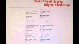 Slavko Avsenik  In durstiger RundePolka  Ohta zeja [upl. by Ahsiekar713]