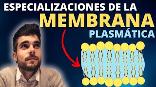 La MEMBRANA PLASMÁTICA ESPECIALIZACIONES [upl. by Mandler]