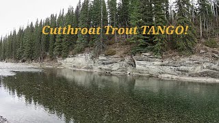 Late October Cutthroat Trout Drama and Bloopers [upl. by Reiner299]