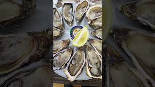 Arcachon Bay oysters France [upl. by Esertak]