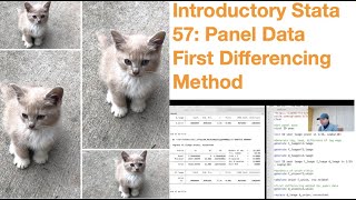 Introductory Stata 57 Panel Data First Differencing Method [upl. by Blaine870]