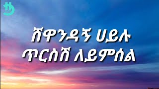 Shewandagne Hailu  Tersesh leyimsel Lyrics [upl. by Ddat781]