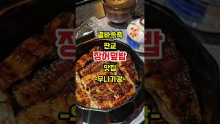 겉바속촉의 정석 판교 장어덮밥 맛집 우나기 판교맛집 장어 장어덮밥 분당맛집 맛집 먹방 [upl. by Enylekcaj]