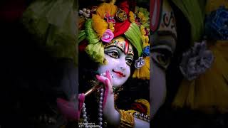 Na tum mujhe bulaya he mere Sham mujhe bulaya he radhe radhe 🙏🪷🙏 short video [upl. by Yrrac322]