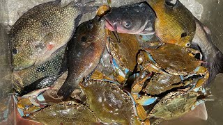 CRABS INVASIVE FISH PANFISH and CATFISH Catch and Cook [upl. by Landri205]