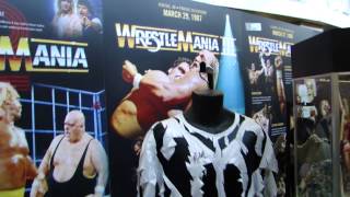 Wrestlemania 29 Vlogs  Fan Axxess  Hall of Wrestlemania Card Posters [upl. by Valida]