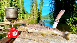 BROWN TROUT Fishing amp SOLO Camping in REMOTE WILD Catch Cook Camp [upl. by Colligan493]