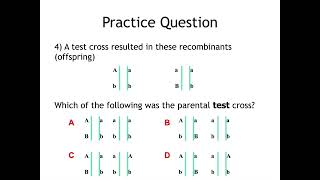 102 Practice Question Recombination [upl. by Ettegirb]