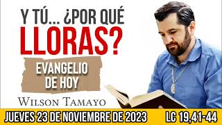 Evangelio de hoy JUEVES 23 de NOVIEMBRE Lc 194144  Wilson Tamayo  Tres Mensajes [upl. by Davin]