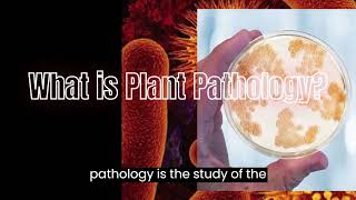 Plant Pathology and its economic importance [upl. by Norabel]