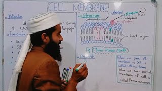 Cell Membranestructure function of plasma membrane 9th biology  Chap4 Lec6  fluid mosaic model [upl. by Adirahs748]