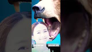 Grizzly Bear 🐻Jaw Strength😧😧bear animation animals facts funfacts shortvideo interestingfacts [upl. by Dallis]