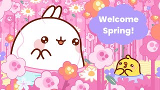 Celebrate SPRING with Molang and Piu Piu🌺 NEW EPISODES  SEASON 4  Funny Compilation For Kids [upl. by Grosberg568]