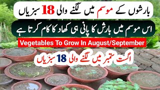 Grow These Fast Growing Vegetables In Monsoon Season  August to September [upl. by Aidaas]