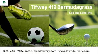 Tifway 419 Bermudagrass Sod [upl. by Enyalaj]