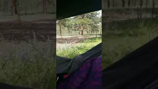 Video of Matukat Road Dispersed Camping CO from Chelsie B [upl. by Lipski]