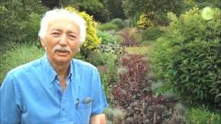 Tour of the Bressingham Gardens with Adrian Bloom [upl. by Quent]