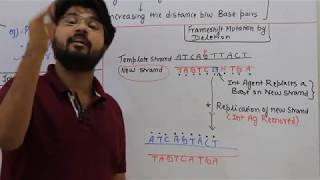 Intercalating agents Chemical mutagens CSIR DBT GATE NEET [upl. by Naujled]