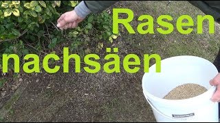 Rasen nachsäen nach dem Vertikutieren und Rasen reparieren mit dem Mini Spiker [upl. by Ragas]