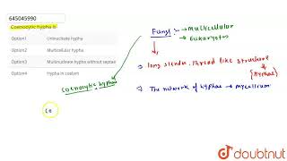 Coenocytic hypha is  CLASS 12  BIOLOGICAL CLASSIFICATION  BIOLOGY  Doubtnut [upl. by Jessa]