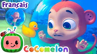 La chanson de la natation  Chansons pour Bébés  CoComelon Le coin des Animaux de JJ  Comptines [upl. by Quince]