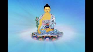 Medicine Buddha Mantra Chant Master JinBodhi [upl. by Ecnadnak509]