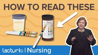 Urine Dipstick Color Codes Explained – MedSurg Nursing  Lecturio Nursing [upl. by Sire]