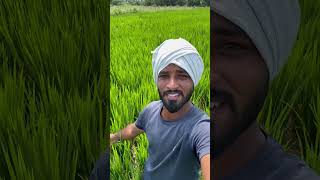 Bank loan  lifestyle vlog agriculture  villagefarmingvillagelife [upl. by Eiznikam]