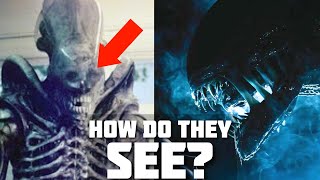 How do Xenomorphs SEE  Alien Romulus [upl. by Ssej]