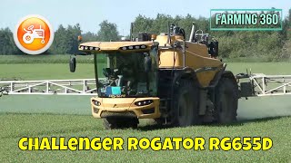 Spraying 2022  Challenger RoGator RG655D self propelled sprayer in action [upl. by Eisaj]