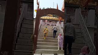 Maiya Bhavan Mein Kaise aaun Himachal Jay Mata Disong  short videodharmjarcha [upl. by Elwyn]