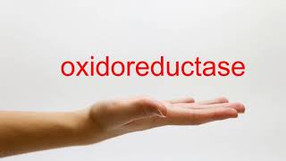 How to Pronounce oxidoreductase  American English [upl. by Ettenirt]