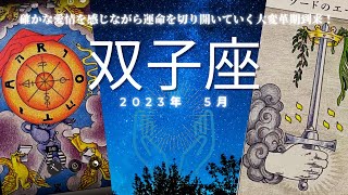 双子座♊️2023年5月🥹💘全体運でとんでもないシンクロが😱恋愛運も絶好調🥹忙しくなりそう😌色々あるけど恋愛の醍醐味を味わって楽しむ時🤭 [upl. by Teodorico]