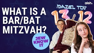 What is a Bar or Bat Mitzvah  Jew Know It [upl. by Leanahtan]