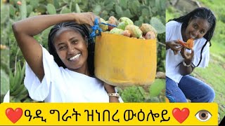 ዋይ በለስ ዓዲ ግራት ዝነበረኒ ውዕሎbrey [upl. by Kirsti241]