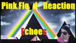 Pink Floyd  Echoes  Live At Pompeii 1972  reaction [upl. by Leitman355]