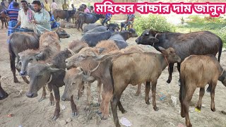 আজ ৪ মে ২৪  ছোট ছোট মহিষের বাচ্চার দাম শুনলে অবাক হবেন সবচেয়ে ছোট ছোট মহিষের বাচ্চার দাম জানুন [upl. by Sall]