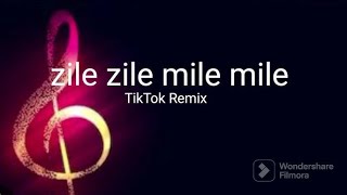 Zile Zile Mile Mile TikTok Remix Song [upl. by Noemad633]