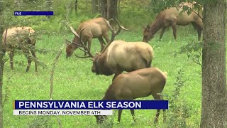 Pennsylvania’s elk season set to begin offering hunters a rare opportunity [upl. by Ailes]