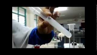 IGSCE Chemistry  Chemistry of Oxygen Carbon Dioxide and Hydrogen [upl. by Adnilema]