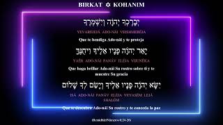 Birkat Kohanim Canta The Levites [upl. by Retluoc]