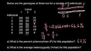 How to calculate perсentage of polymorphism and heterozygosity [upl. by Anirda]