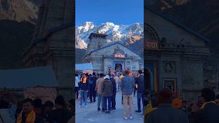 kedarnath mein bhole Baba ke darshan kedarnath shorts youtubeshorts [upl. by Bonny]